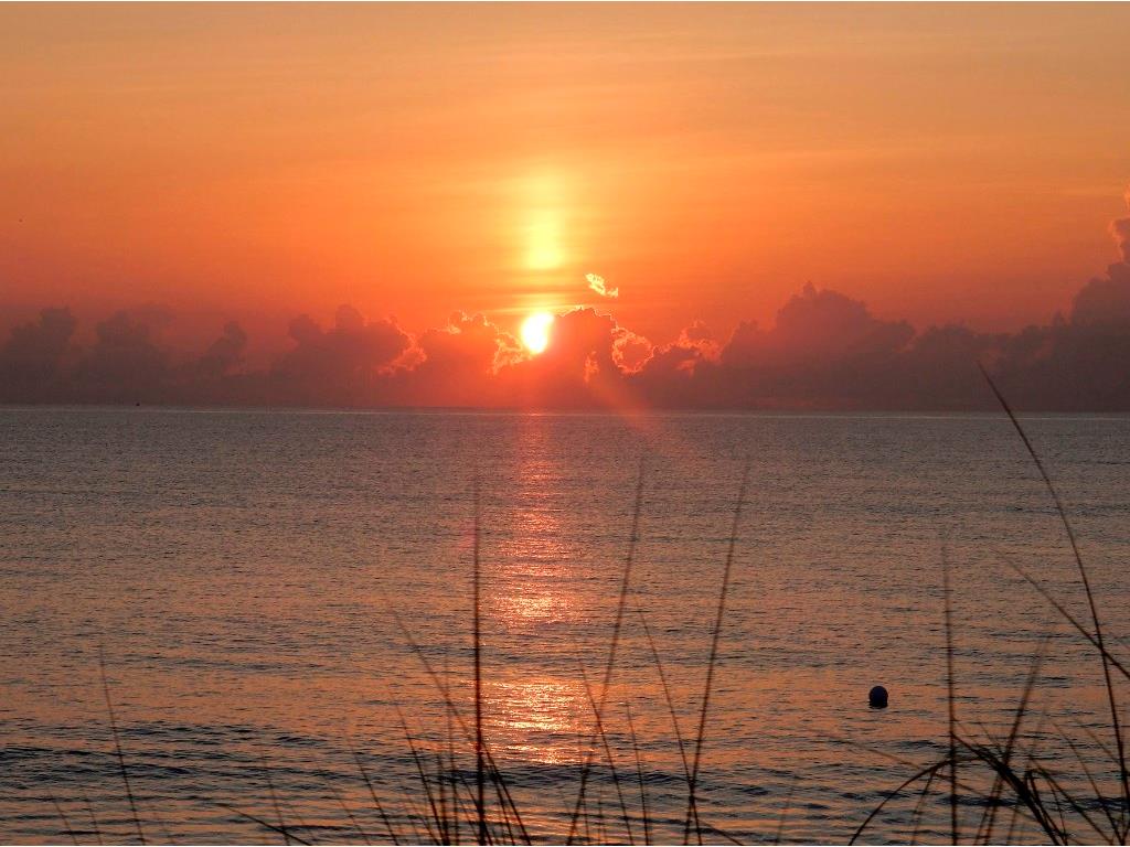 915 Bahia Mar Road Vero Beach, FL 32963 - Photo 29 of 33