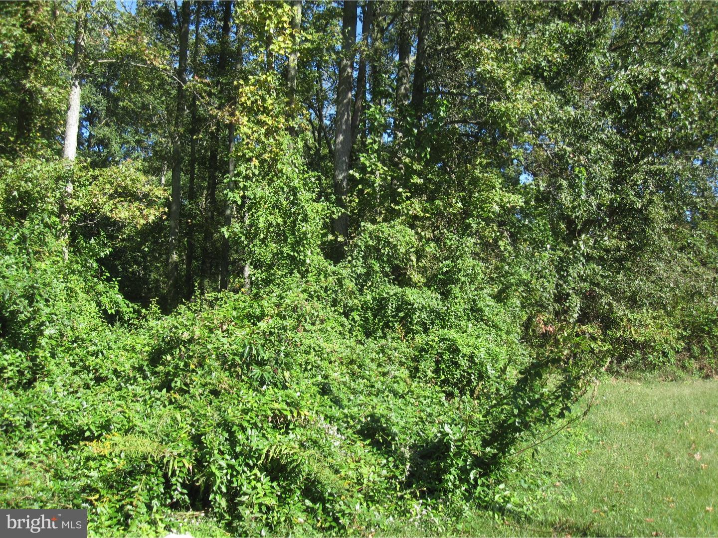 321 Pine Tree Road Townsend, DE 19734 - Photo 15 of 15 Back Yard