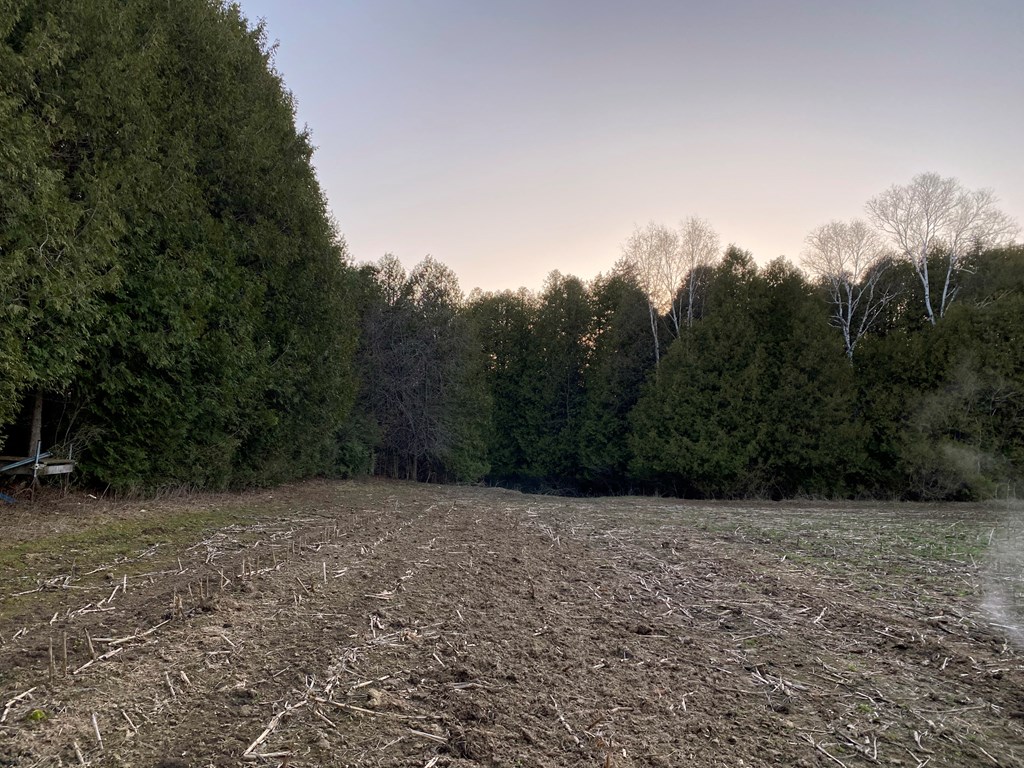S Shiloh Road Algoma, WI 54201 - Photo 8 of 19