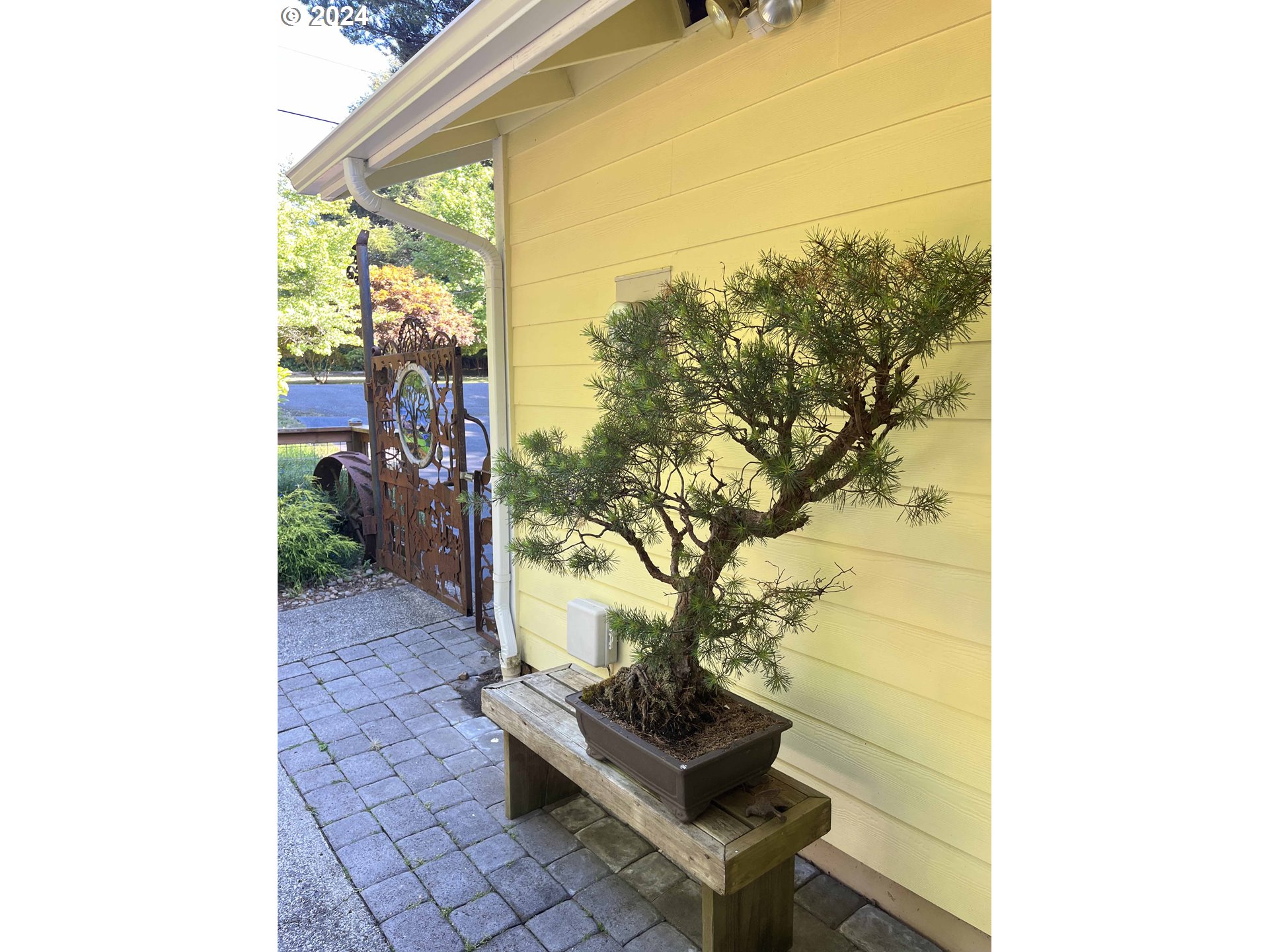 83480 Clear Lake Road Florence, OR 97439 - Photo 7 of 48 a outdoor space of a house with a tree