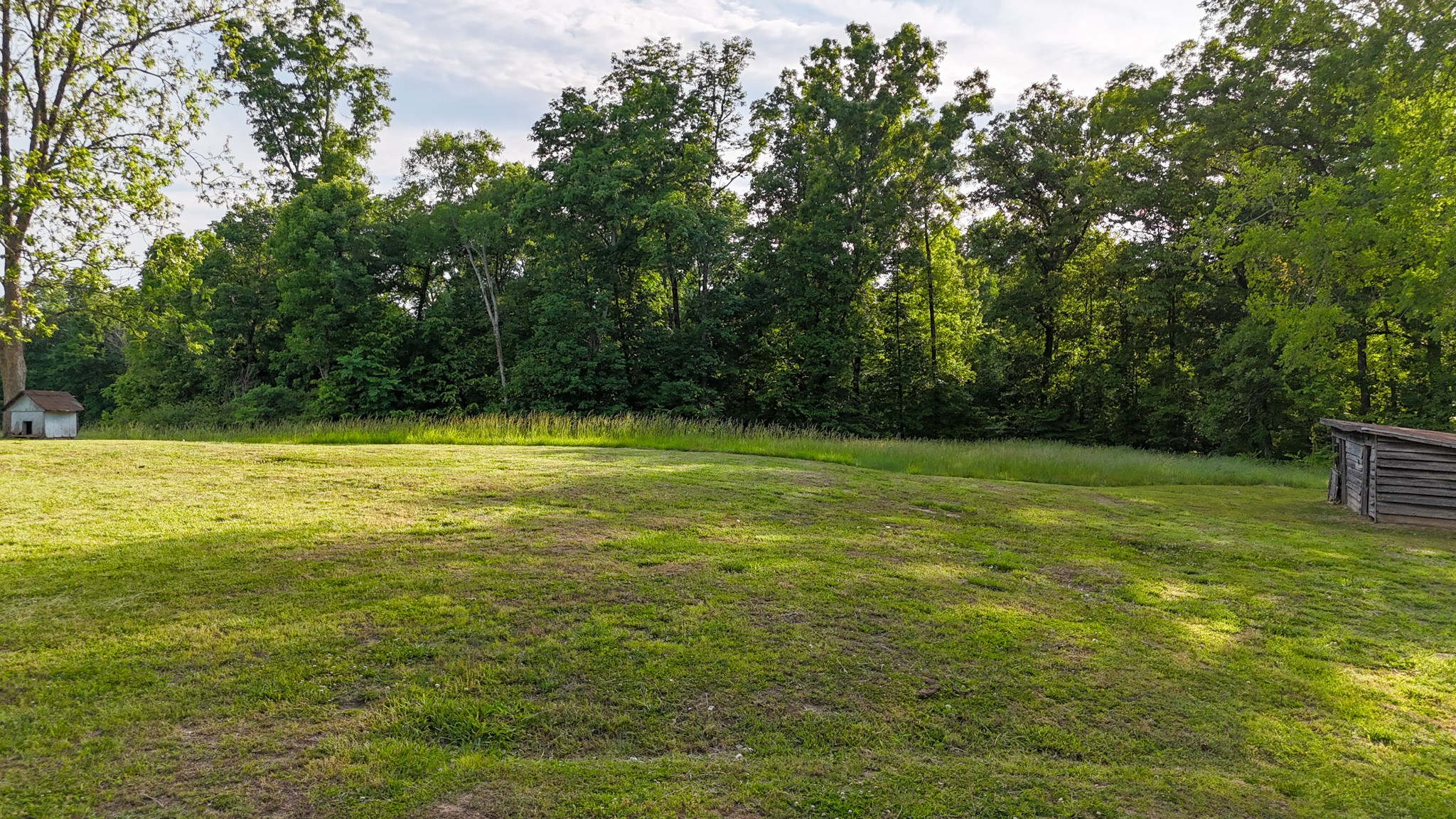 0 Mcadams Road Greenfield, TN 38230 - Photo 12 of 25