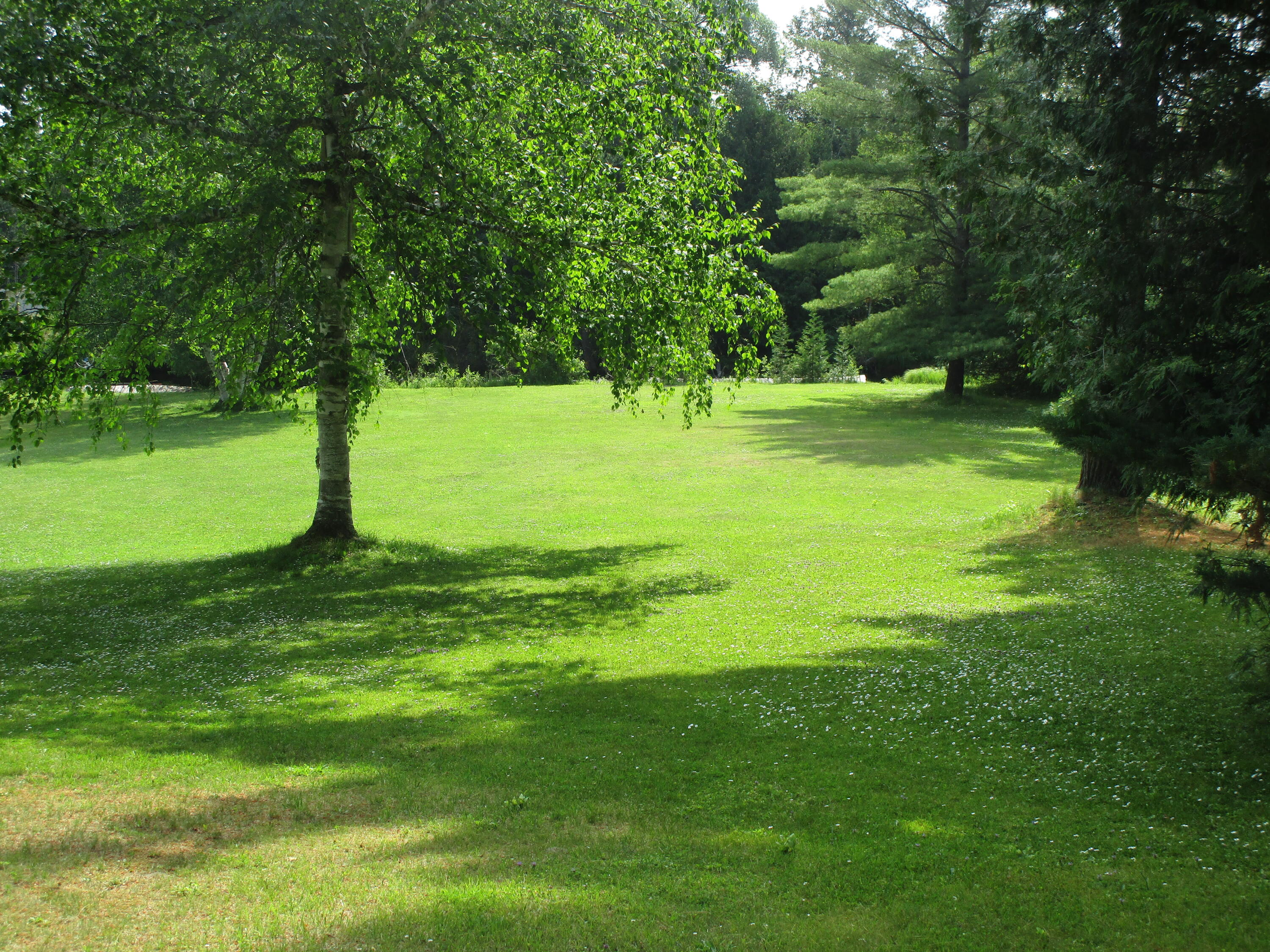 3595 Club Road Indian River, MI 49749 - Photo 19 of 27 Gallery Image 19