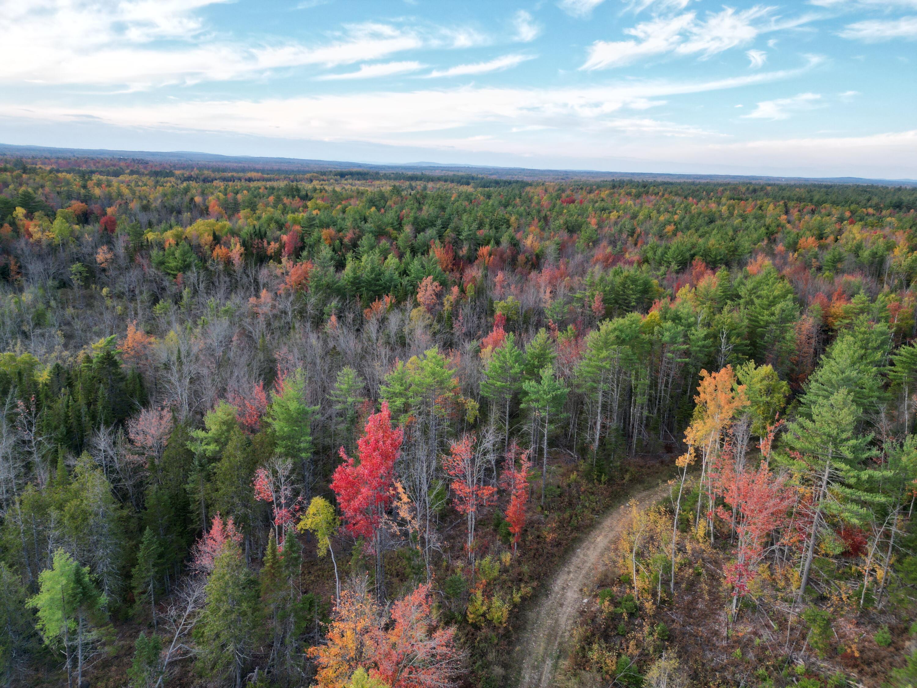 Off Basford Road Detroit, ME 04929 - Photo 15 of 19 DJI_0069