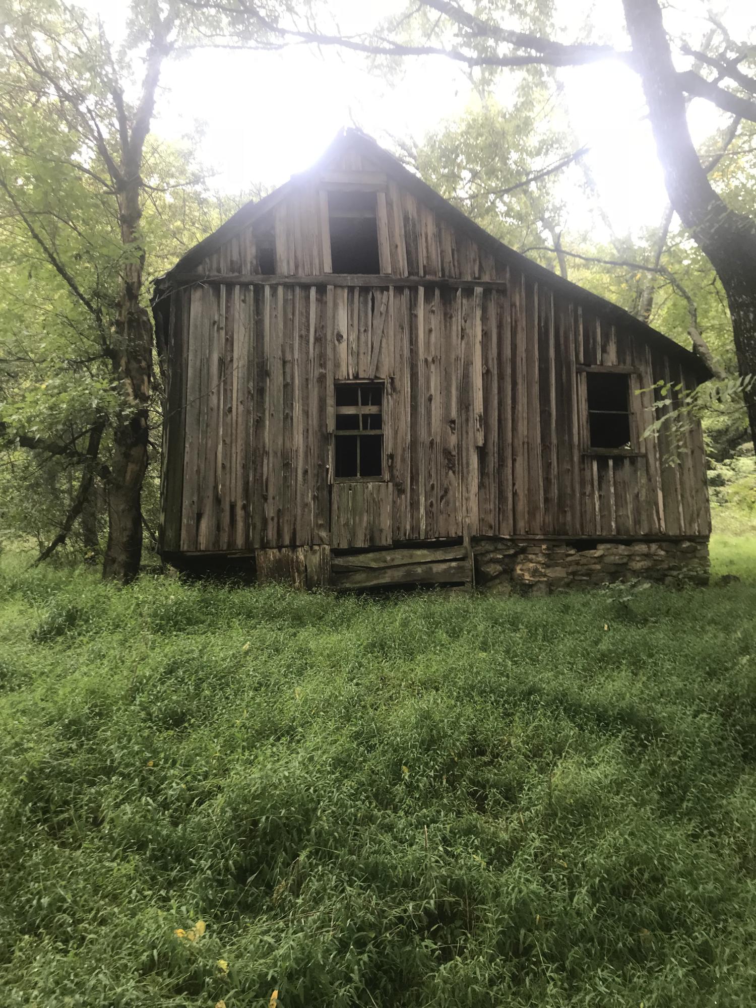 Birdwell Mill Road Greeneville, TN 37743 - Photo 2 of 31 2018-09-28 12.51.12