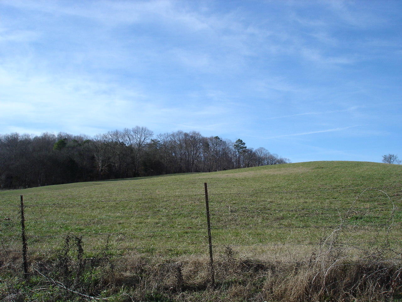 Birdwell Mill Road Greeneville, TN 37743 - Photo 11 of 31 DSC03291