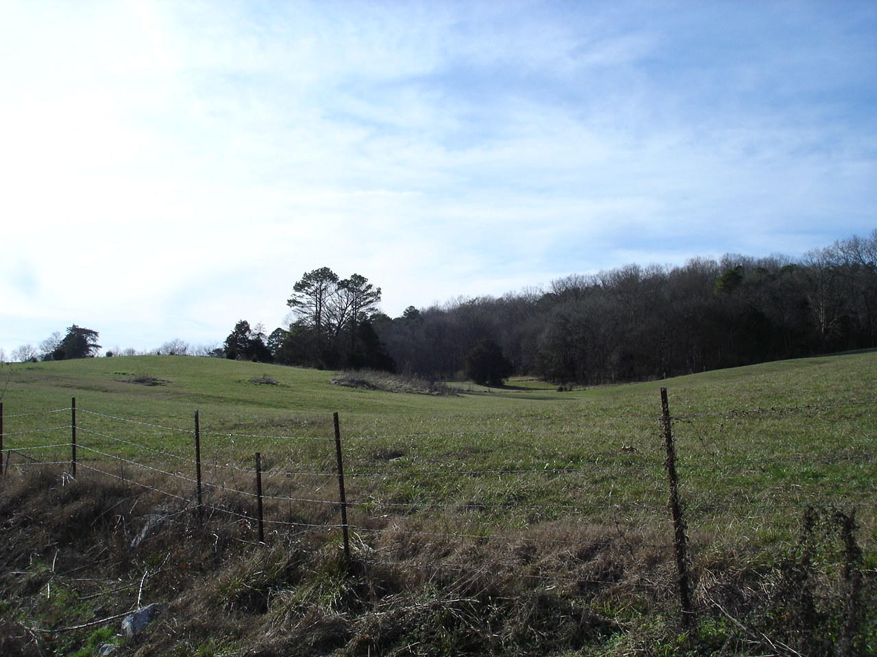 Birdwell Mill Road Greeneville, TN 37743 - Photo 12 of 31 DSC03292