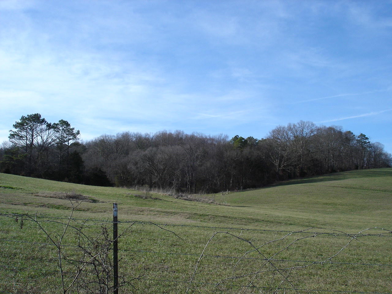 Birdwell Mill Road Greeneville, TN 37743 - Photo 14 of 31 DSC03294