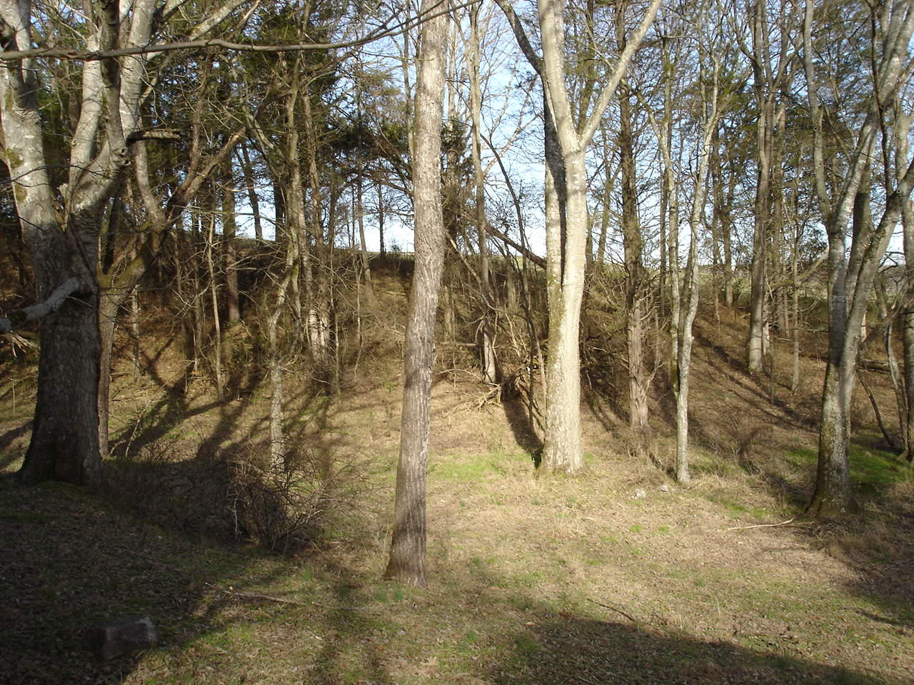 Birdwell Mill Road Greeneville, TN 37743 - Photo 15 of 31 DSC03298
