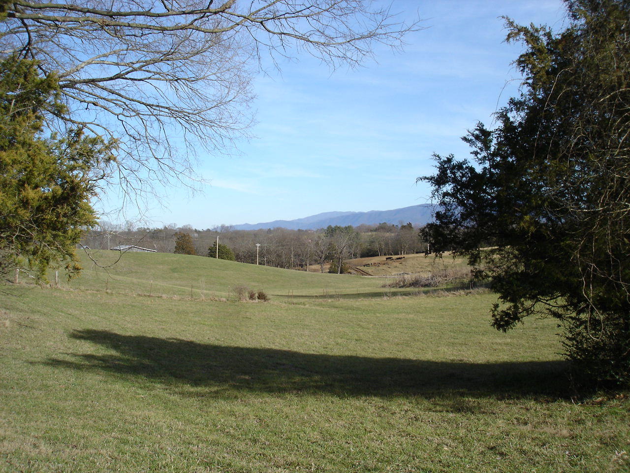 Birdwell Mill Road Greeneville, TN 37743 - Photo 16 of 31 DSC03300