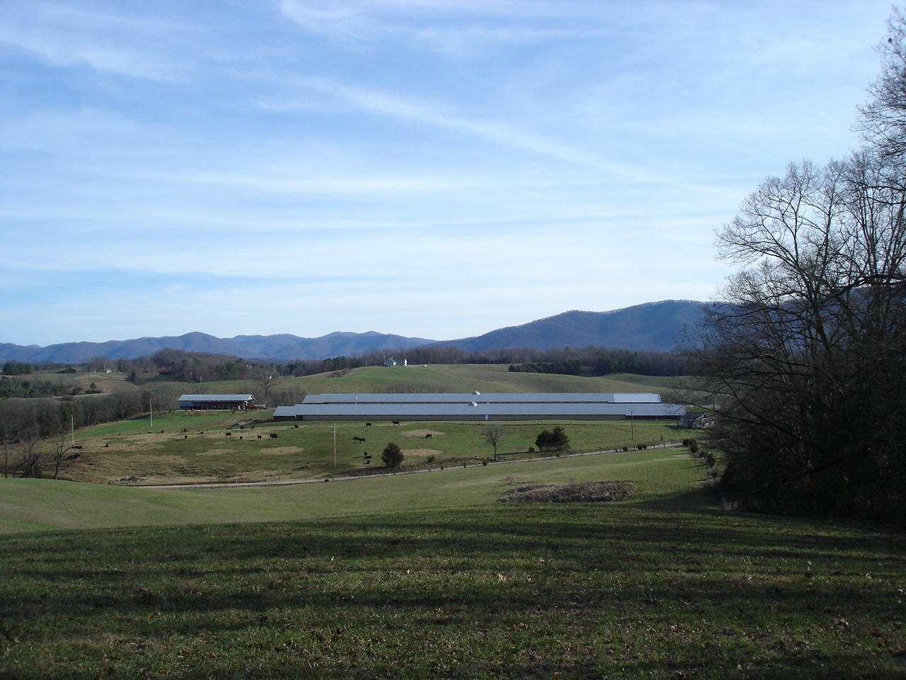 Birdwell Mill Road Greeneville, TN 37743 - Photo 18 of 31 DSC03302