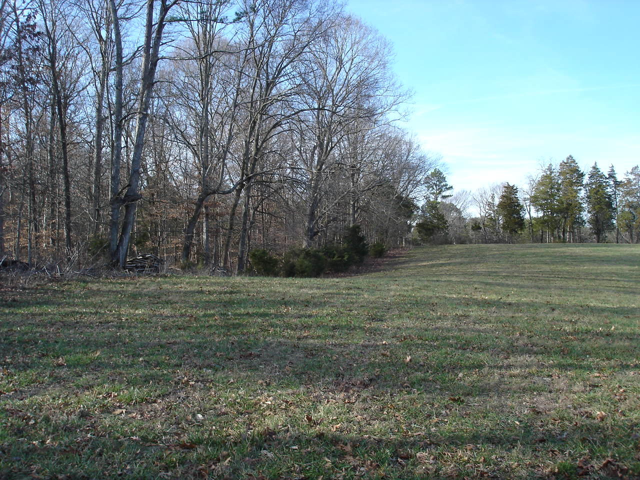 Birdwell Mill Road Greeneville, TN 37743 - Photo 19 of 31 DSC03303
