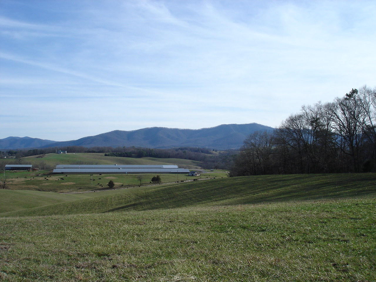 Birdwell Mill Road Greeneville, TN 37743 - Photo 22 of 31 DSC03306