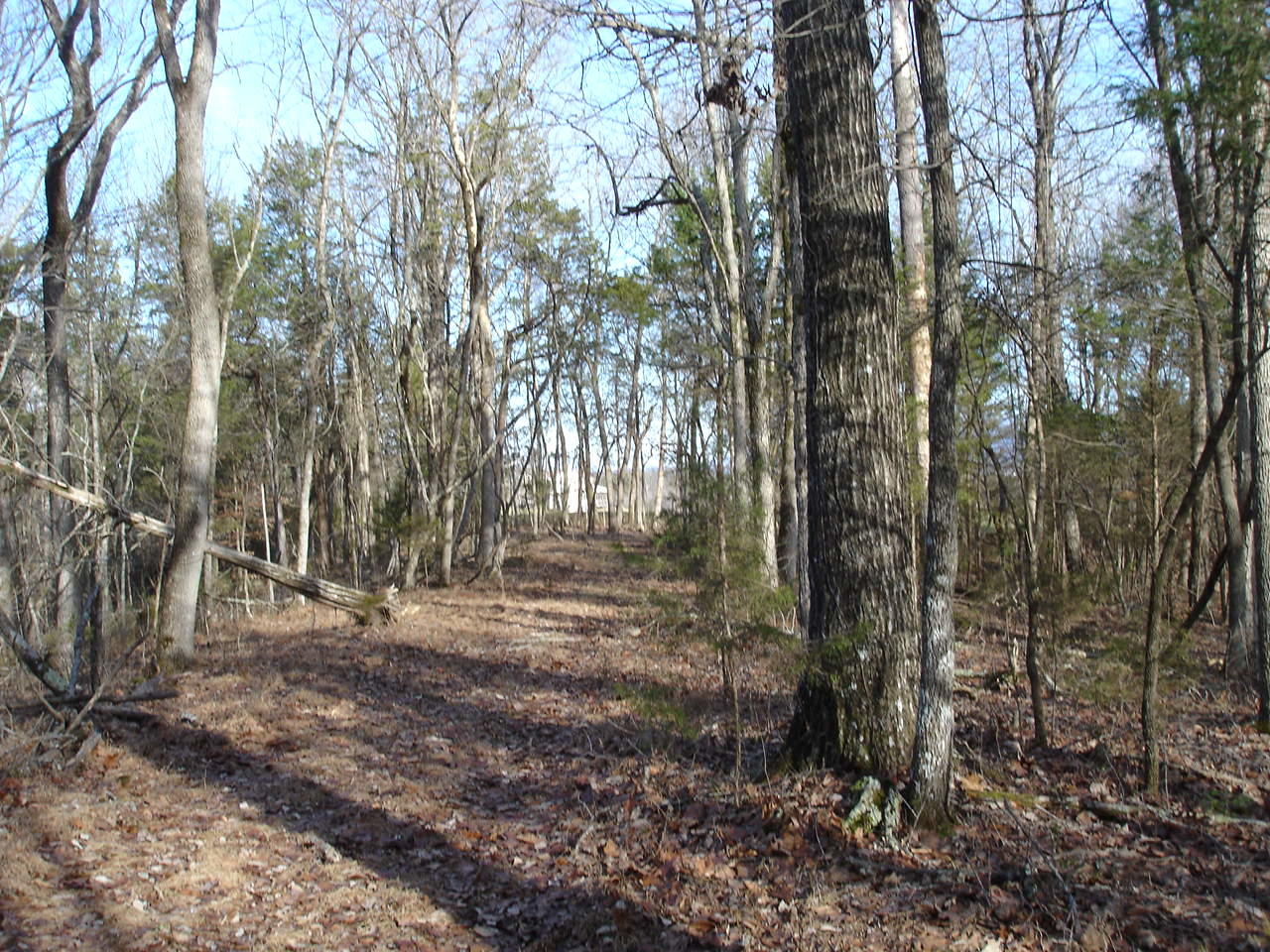 Birdwell Mill Road Greeneville, TN 37743 - Photo 25 of 31 DSC03309