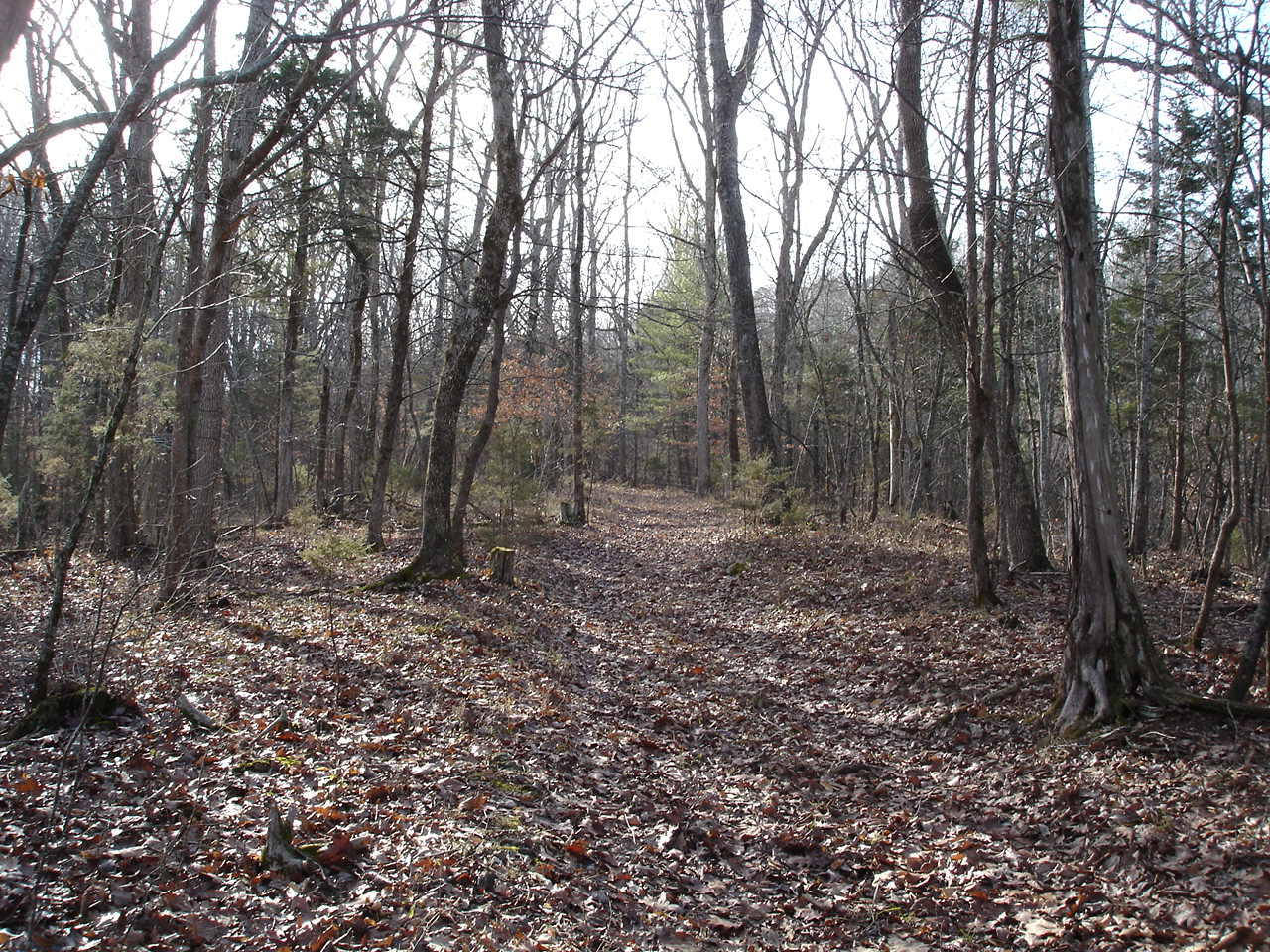 Birdwell Mill Road Greeneville, TN 37743 - Photo 26 of 31 DSC03310