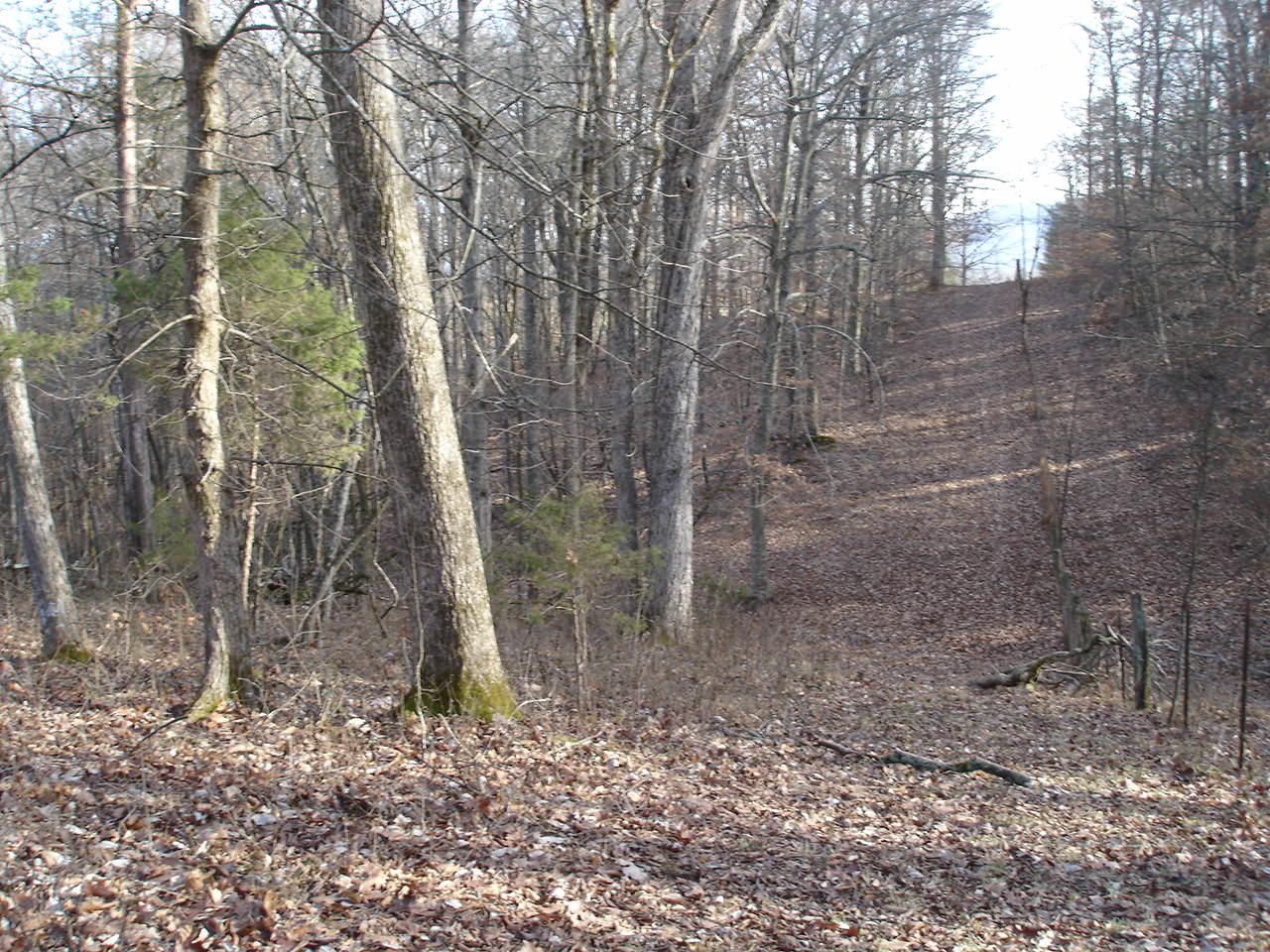 Birdwell Mill Road Greeneville, TN 37743 - Photo 27 of 31 DSC03311