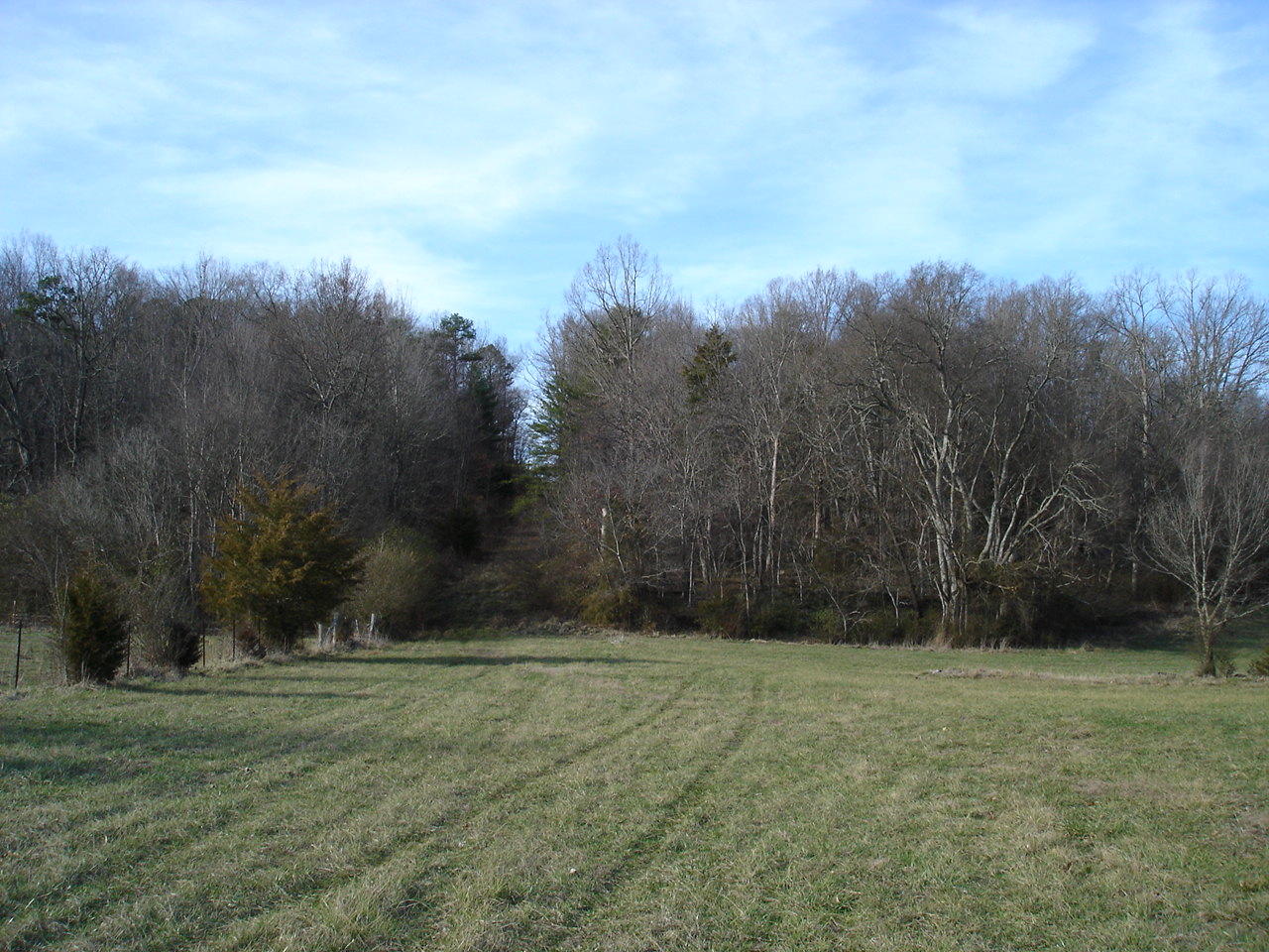 Birdwell Mill Road Greeneville, TN 37743 - Photo 29 of 31 DSC03315