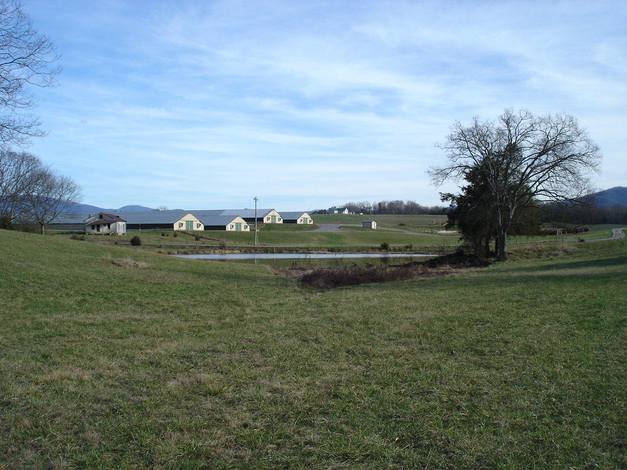 Birdwell Mill Road Greeneville, TN 37743 - Photo 30 of 31 DSC03316