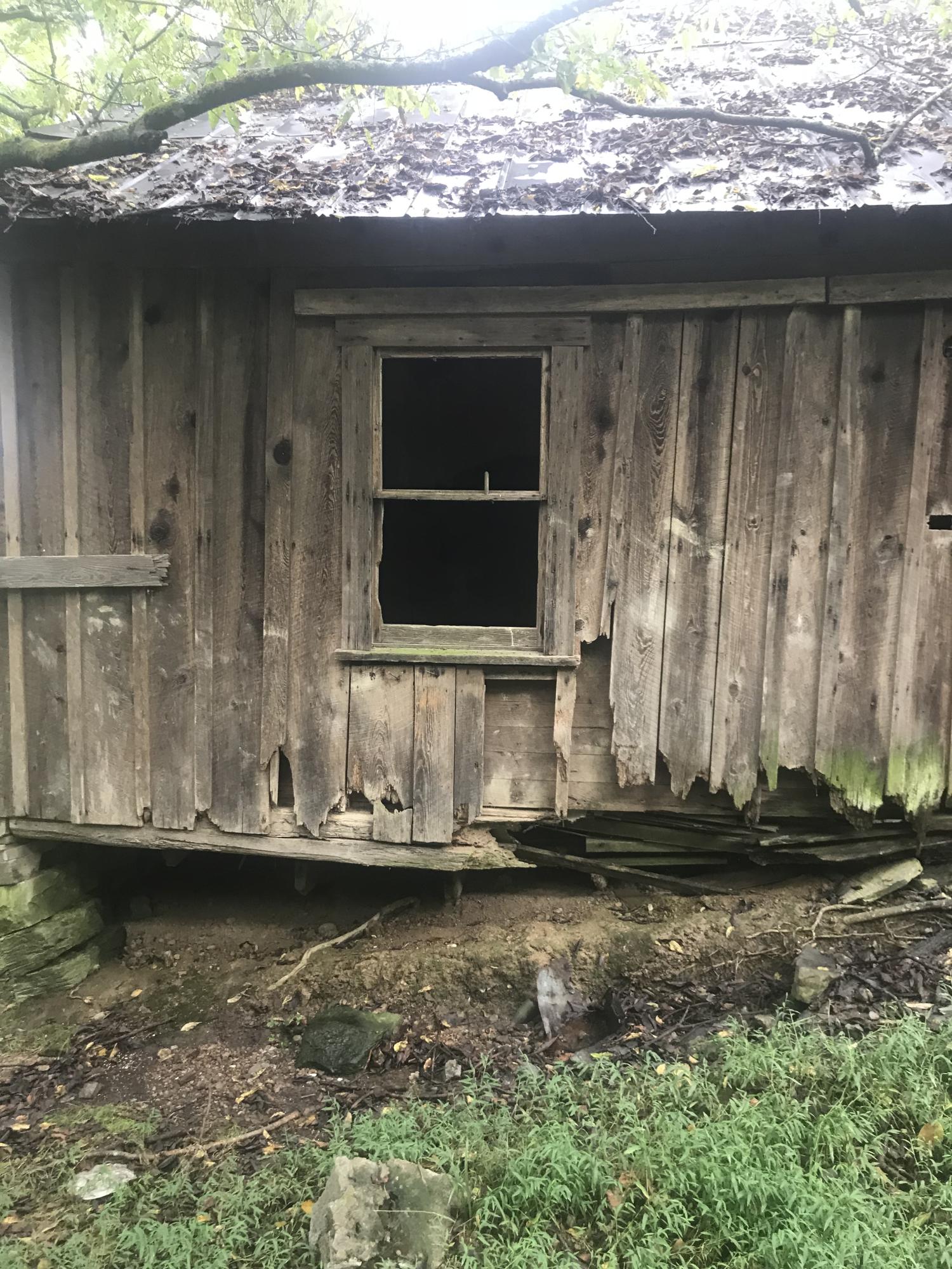 Birdwell Mill Road Greeneville, TN 37743 - Photo 4 of 31 2018-09-28 12.52.02