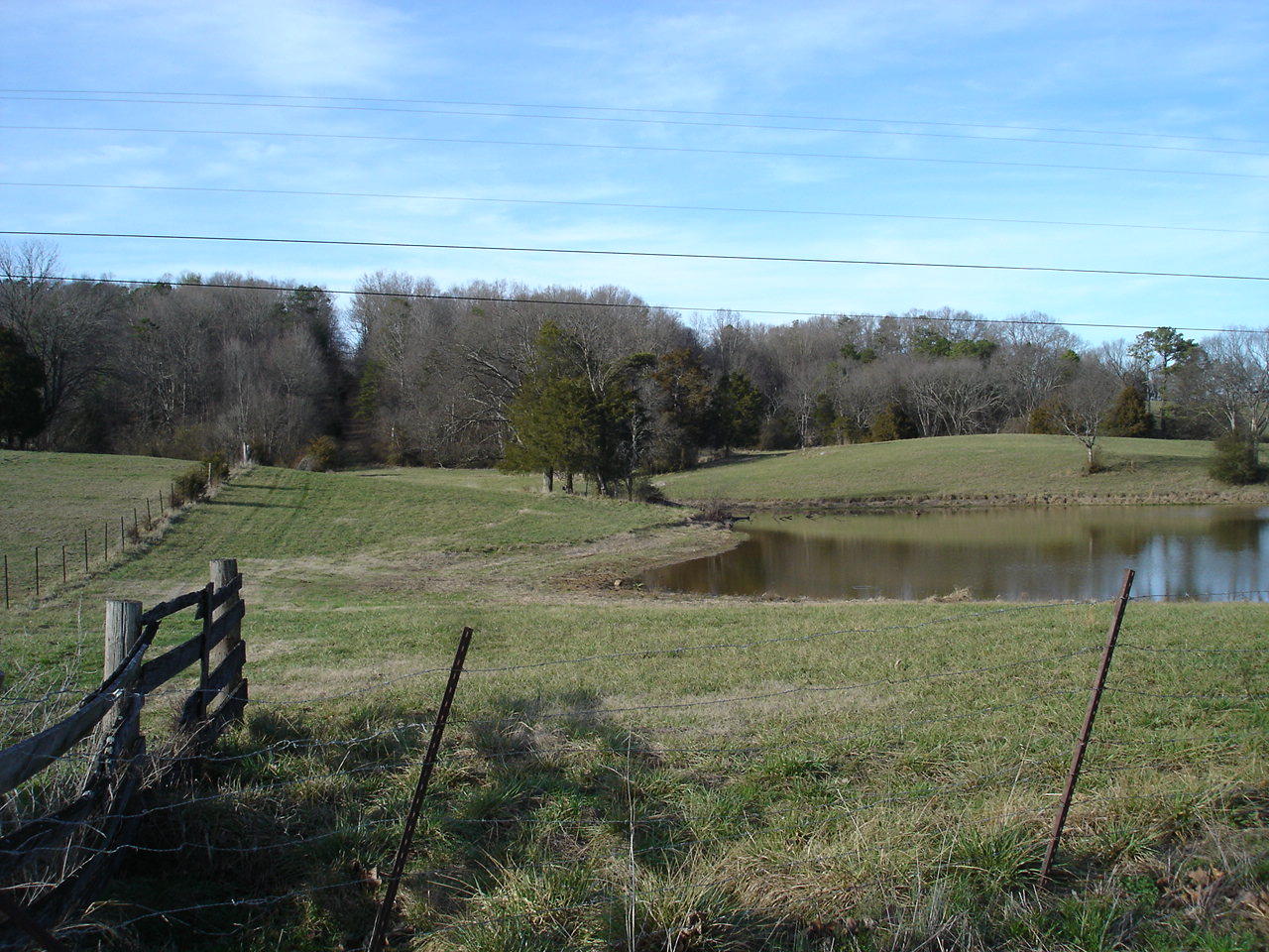 Birdwell Mill Road Greeneville, TN 37743 - Photo 31 of 31 DSC03319