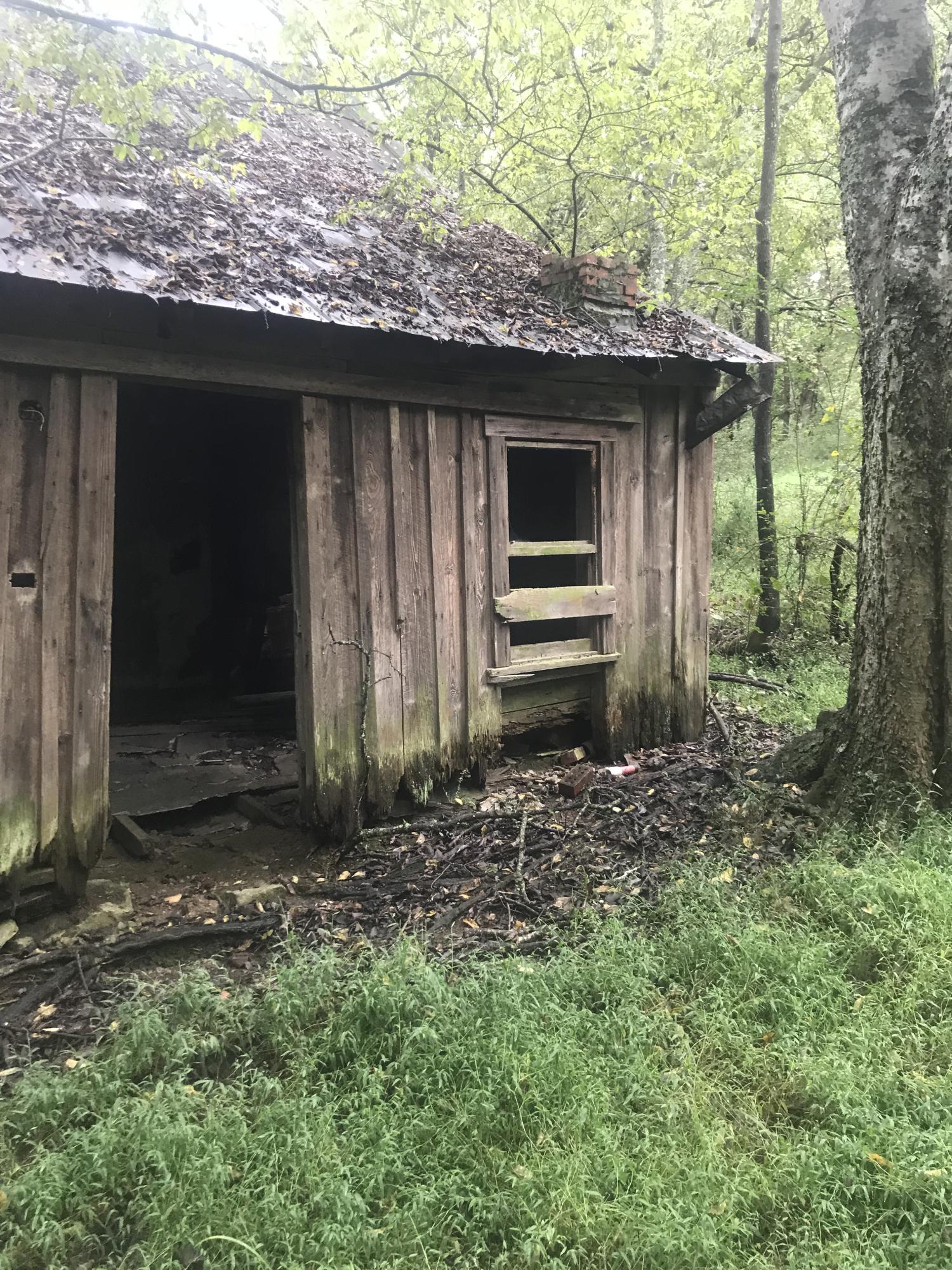 Birdwell Mill Road Greeneville, TN 37743 - Photo 5 of 31 2018-09-28 12.52.05