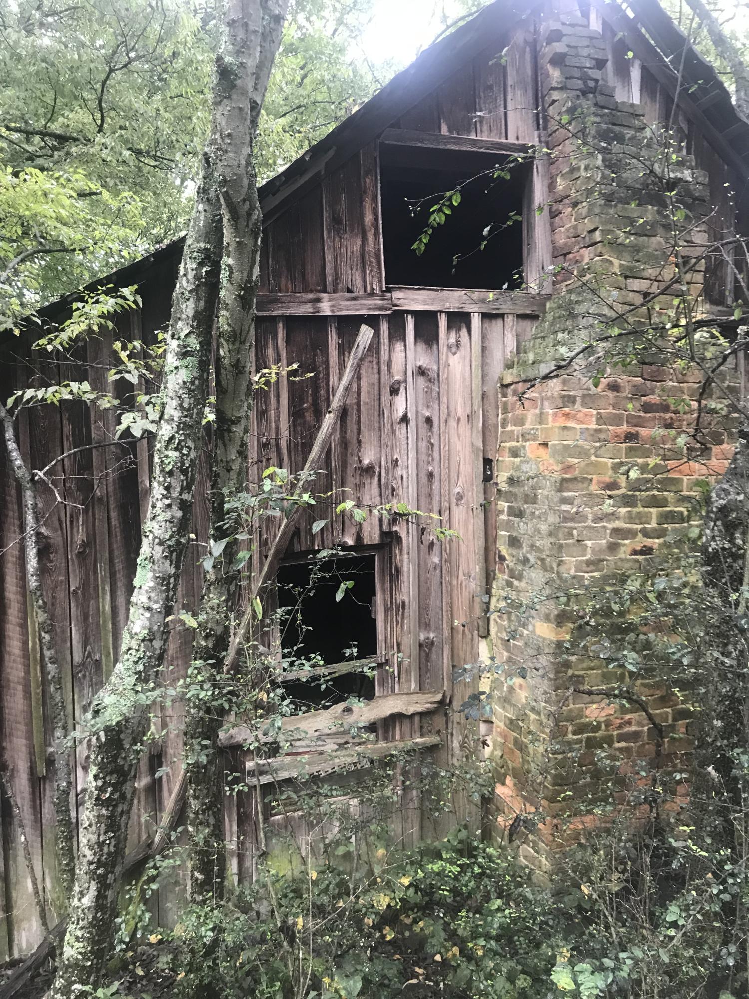 Birdwell Mill Road Greeneville, TN 37743 - Photo 6 of 31 2018-09-28 12.52.51