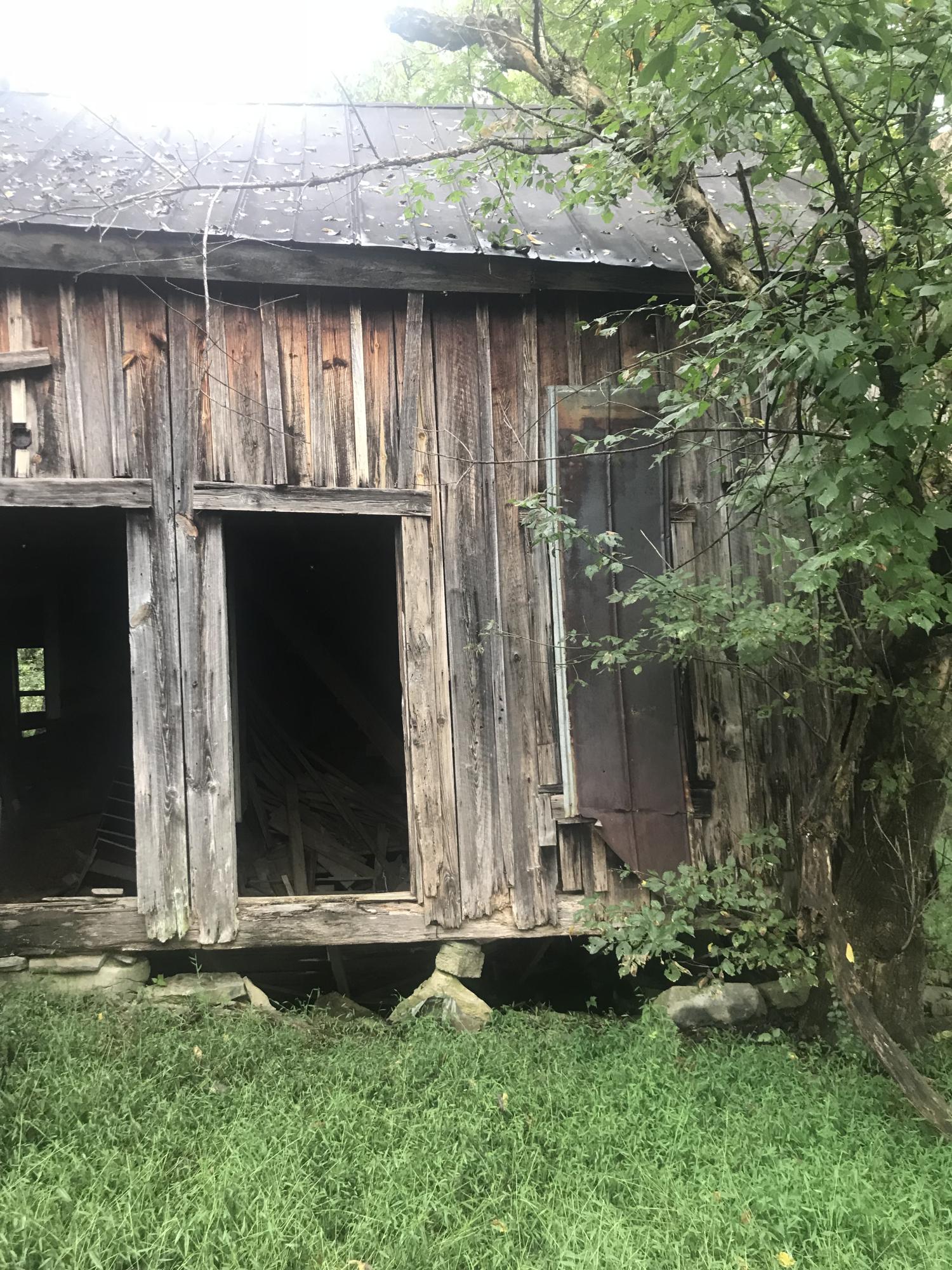 Birdwell Mill Road Greeneville, TN 37743 - Photo 7 of 31 2018-09-28 12.54.00