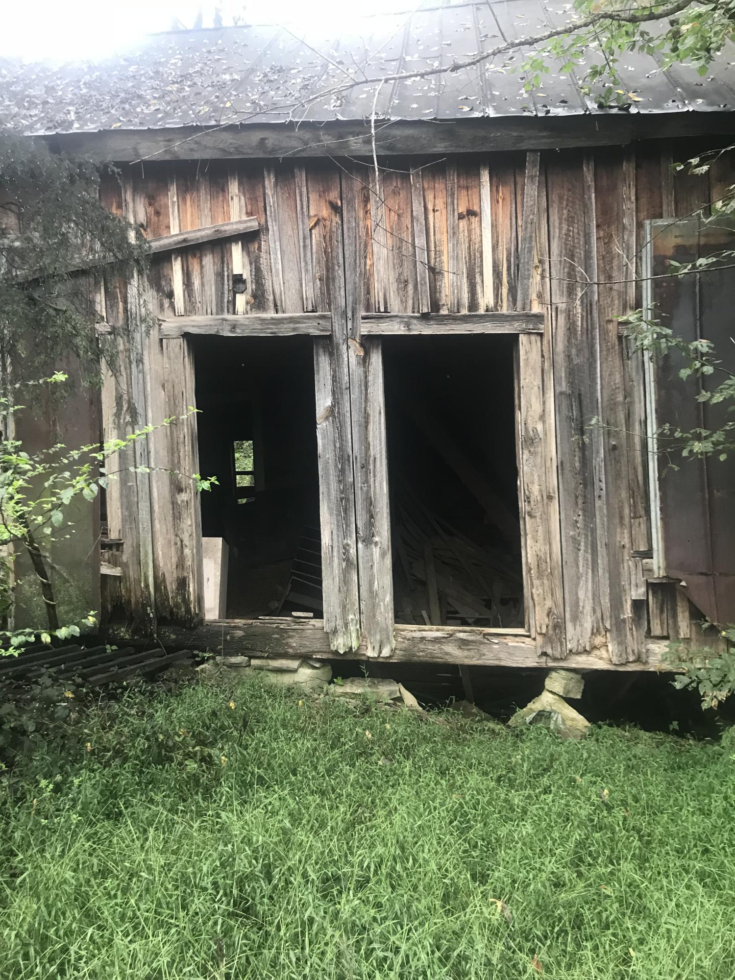 Birdwell Mill Road Greeneville, TN 37743 - Photo 9 of 31 2018-09-28 12.54.06