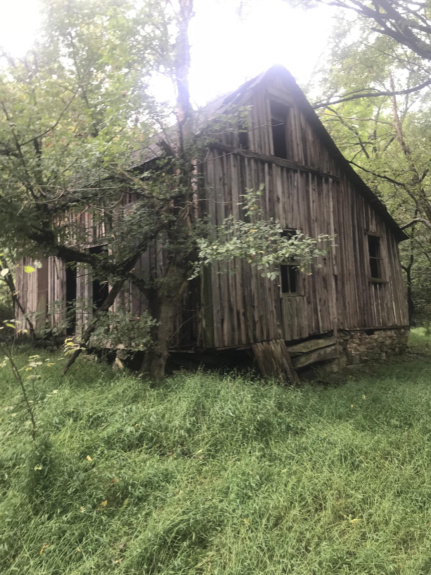 Birdwell Mill Road Greeneville, TN 37743 - Photo 10 of 31 2018-09-28 12.55.35