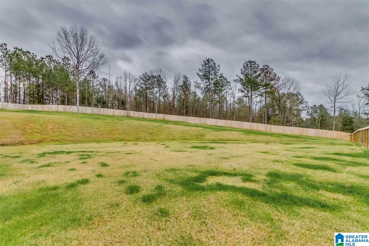 2268 County Road 15 Bankston, AL 35542 - Photo 5 of 29