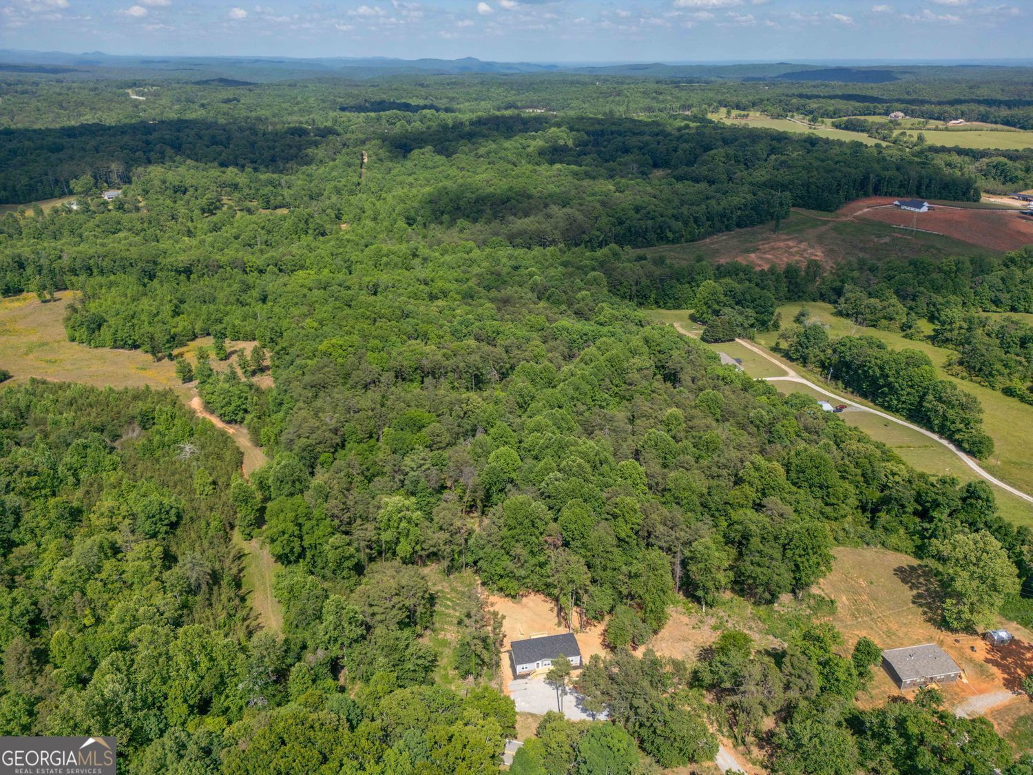 734 Hollywood Church Road Clarkesville, GA 30523 - Photo 38 of 49 a view of a lush green forest with lots of trees