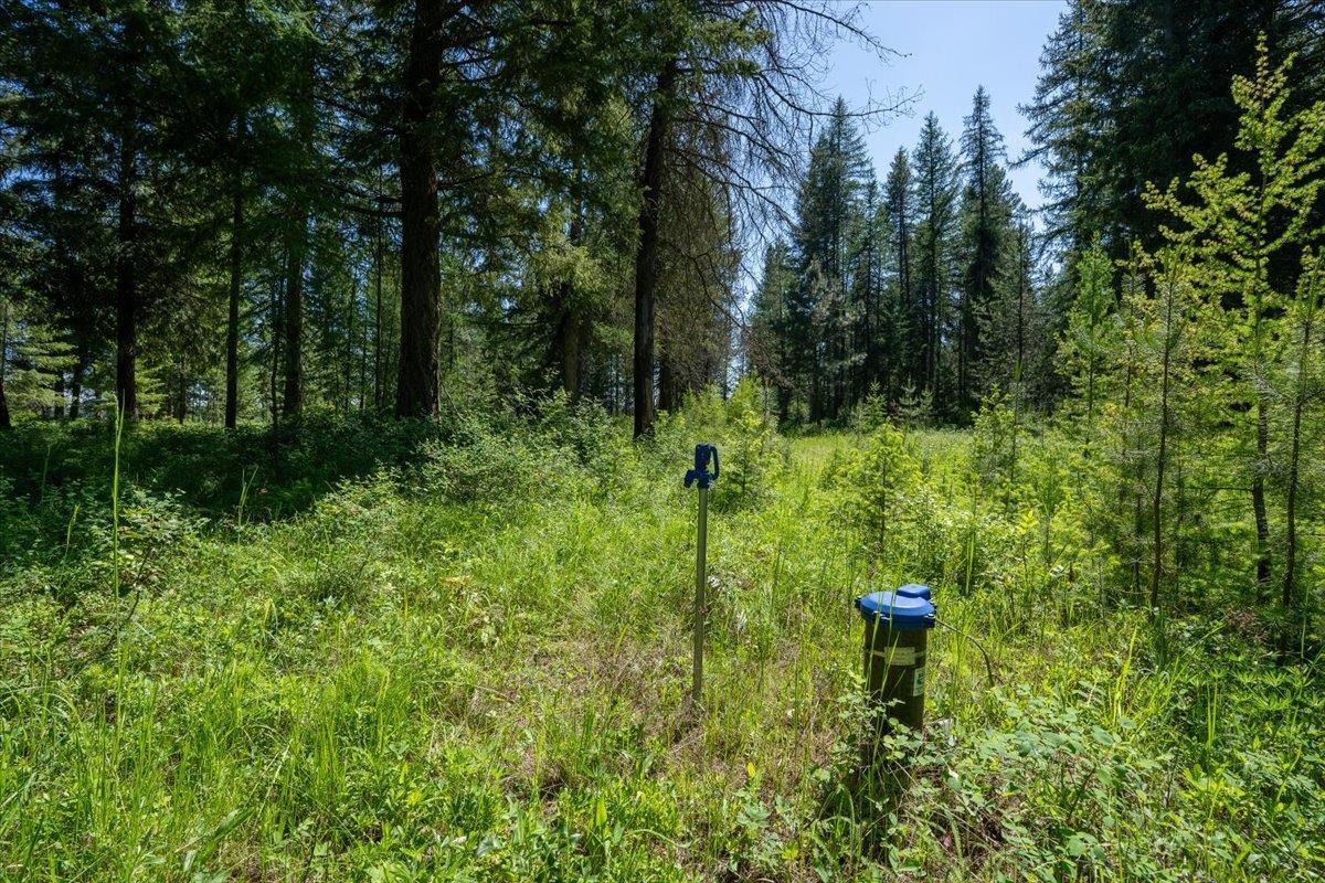 4668 Williams Valley Road Clayton, WA 99110 - Photo 27 of 44