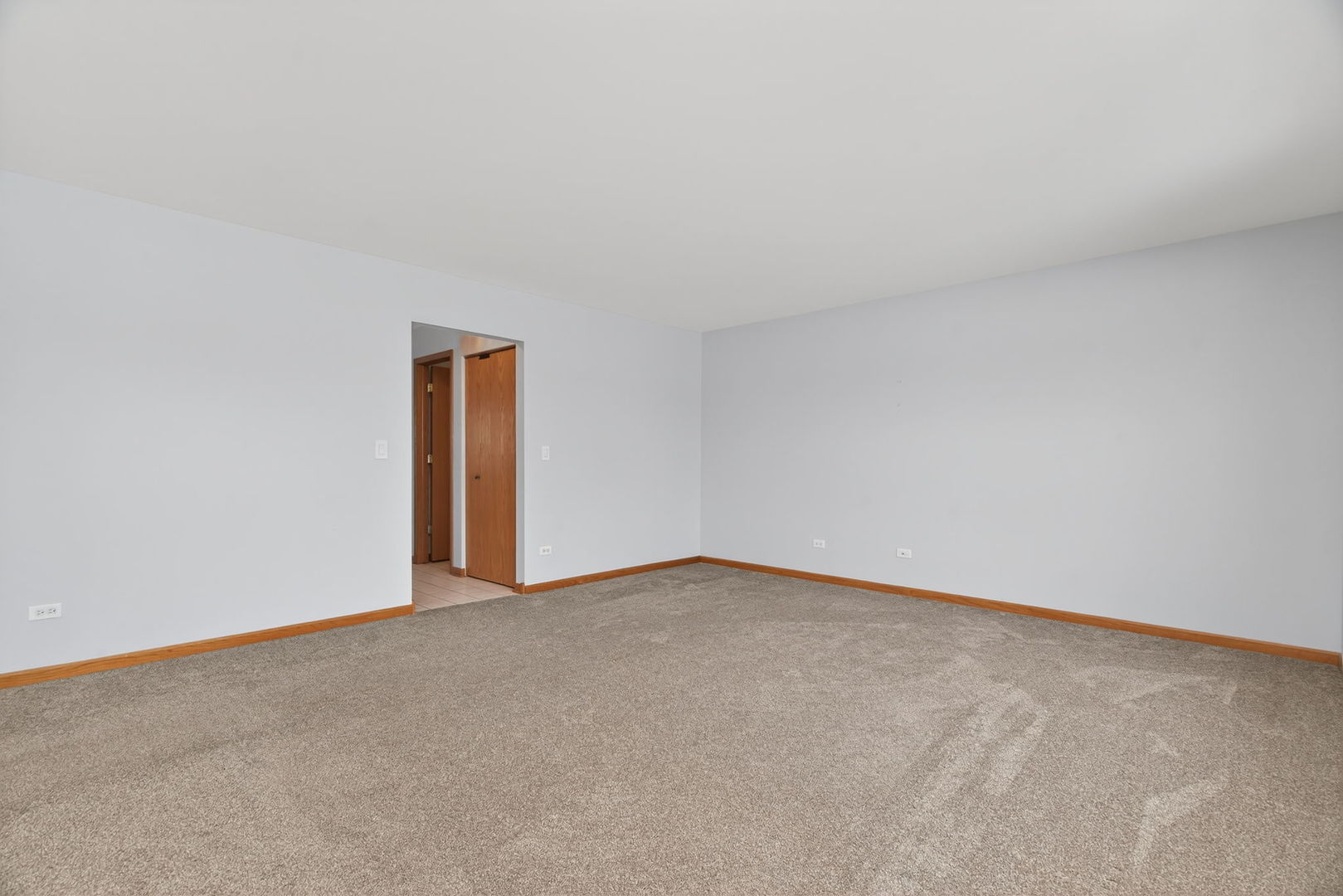 1509 Donegal Drive Minooka, IL 60447 - Photo 20 of 43