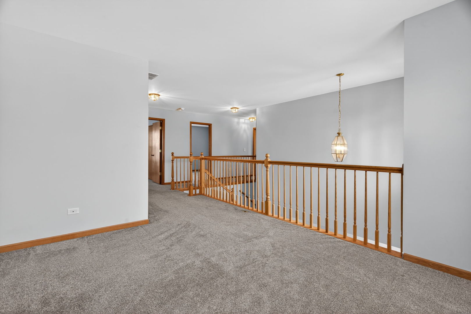 1509 Donegal Drive Minooka, IL 60447 - Photo 21 of 43