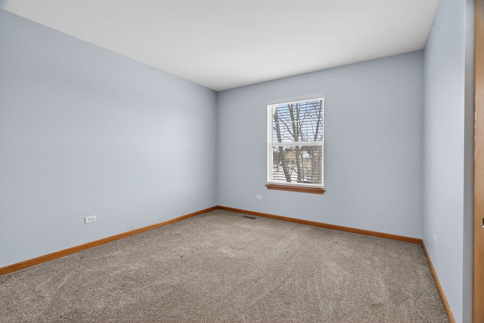 1509 Donegal Drive Minooka, IL 60447 - Photo 29 of 43