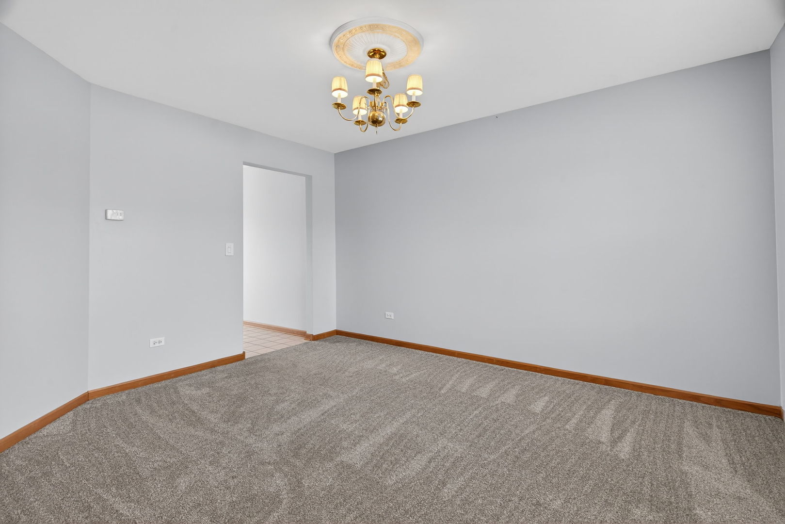 1509 Donegal Drive Minooka, IL 60447 - Photo 7 of 43