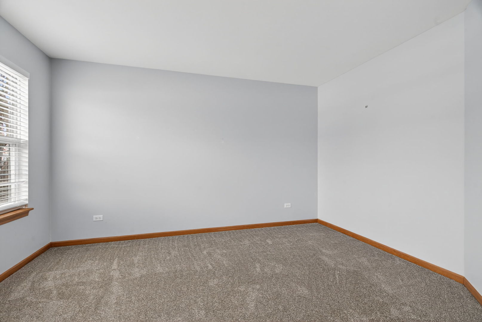 1509 Donegal Drive Minooka, IL 60447 - Photo 8 of 43