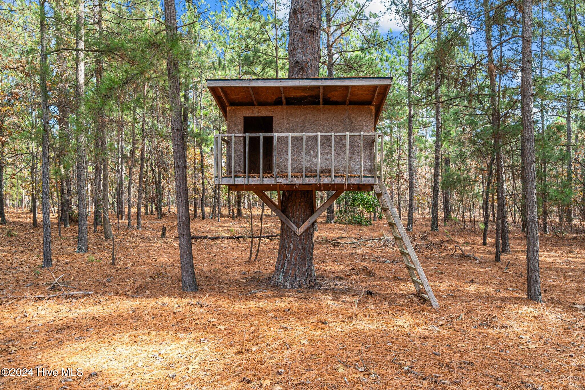 85 Pine Lake Drive Whispering Pines, NC 28327 - Photo 17 of 46 17-web-or-mls-DSC05604