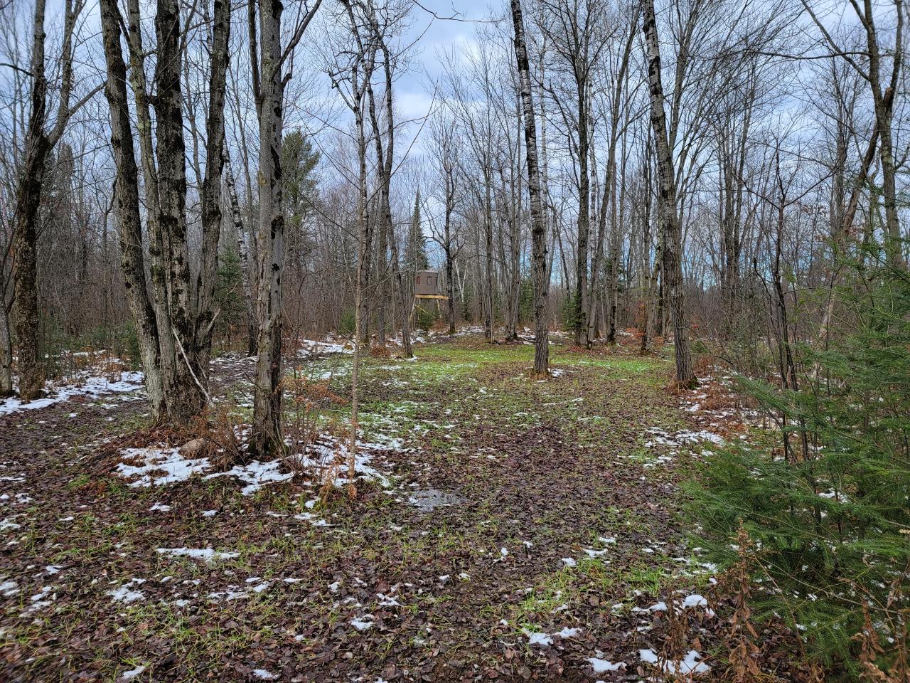 N6794 Cth D Brantwood, WI 54513 - Photo 1 of 7 Gallery Image 1