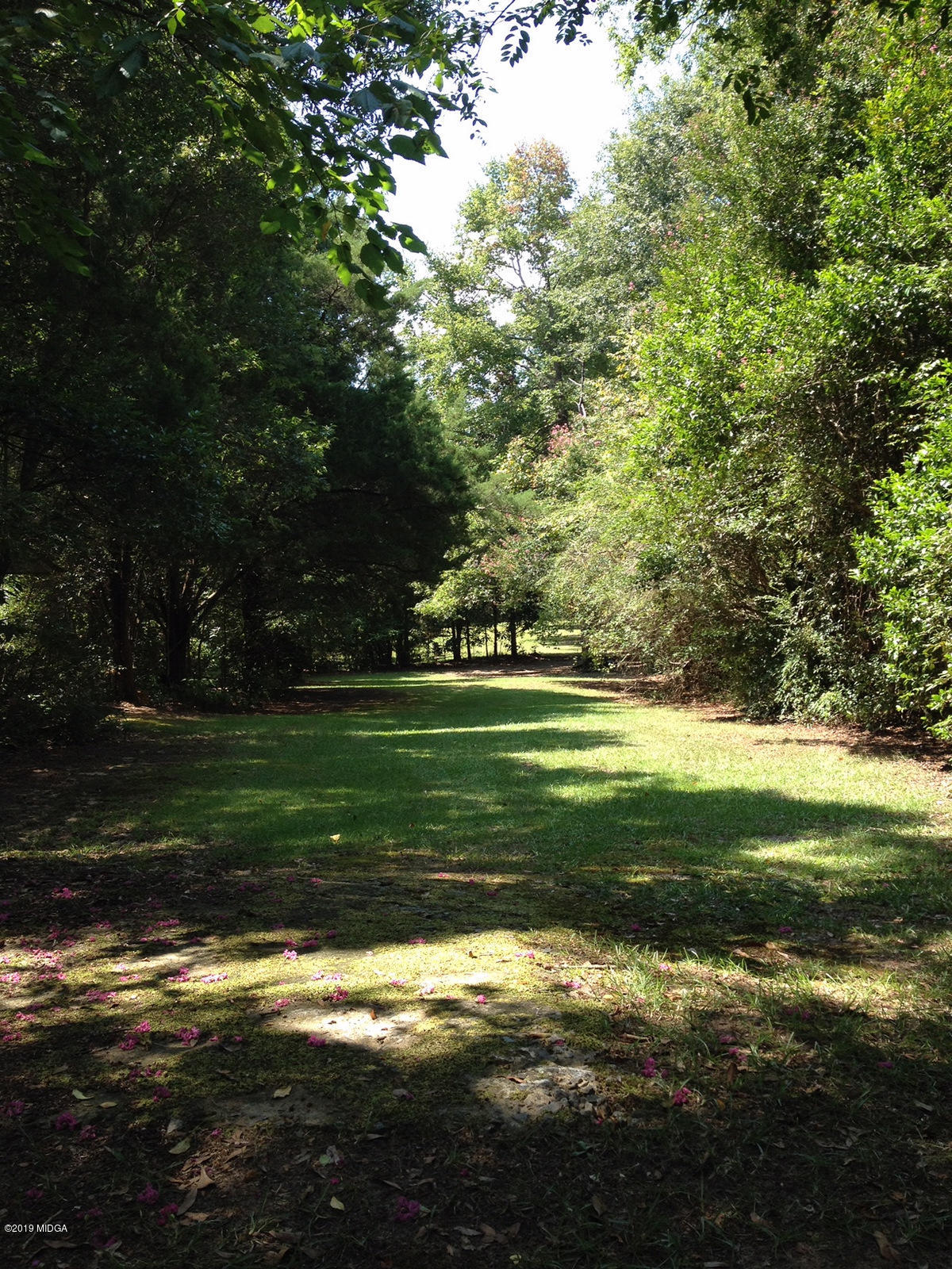 3398 Millerfield Road Macon, GA 31211 - Photo 3 of 3 IMG_1411