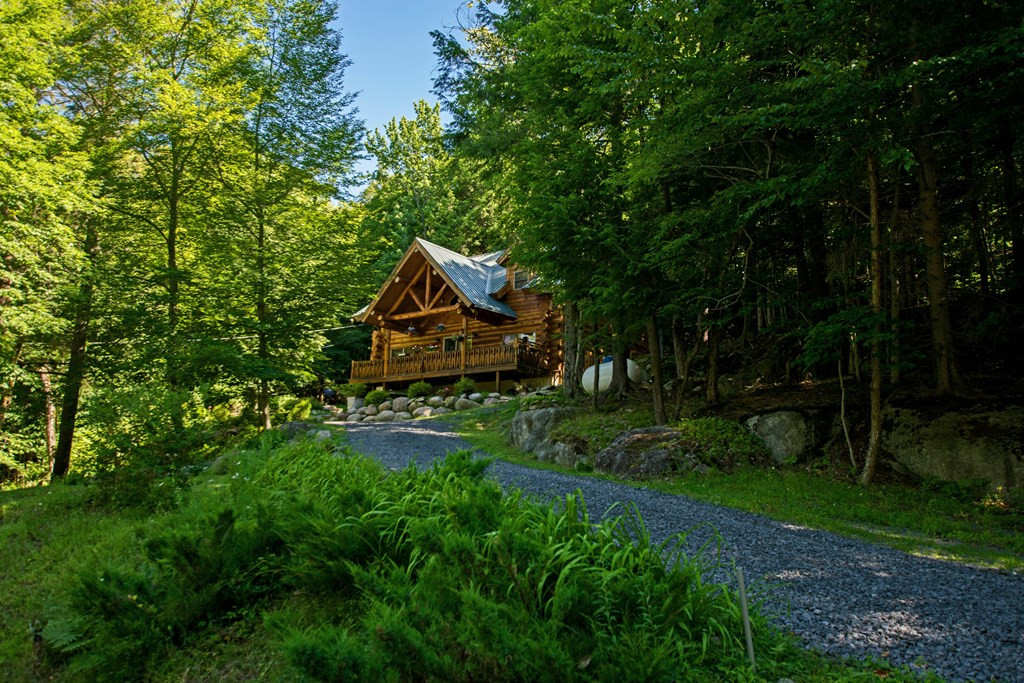 117 Gaiety Road Inlet, NY 13360 - Photo 4 of 36 Gallery Image 4