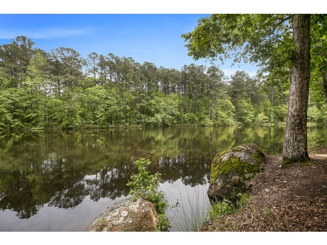 2317 Mesena Road Thomson, GA 30824 - Photo 42 of 45