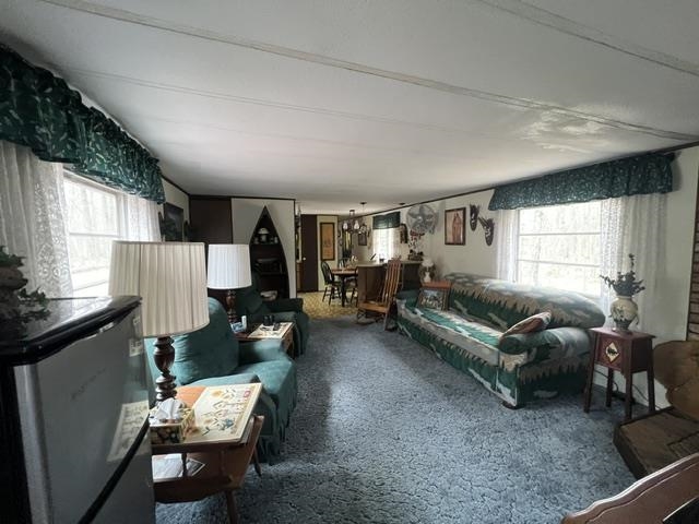 701 Memory Lane Wabeno, WI 54566 - Photo 9 of 16