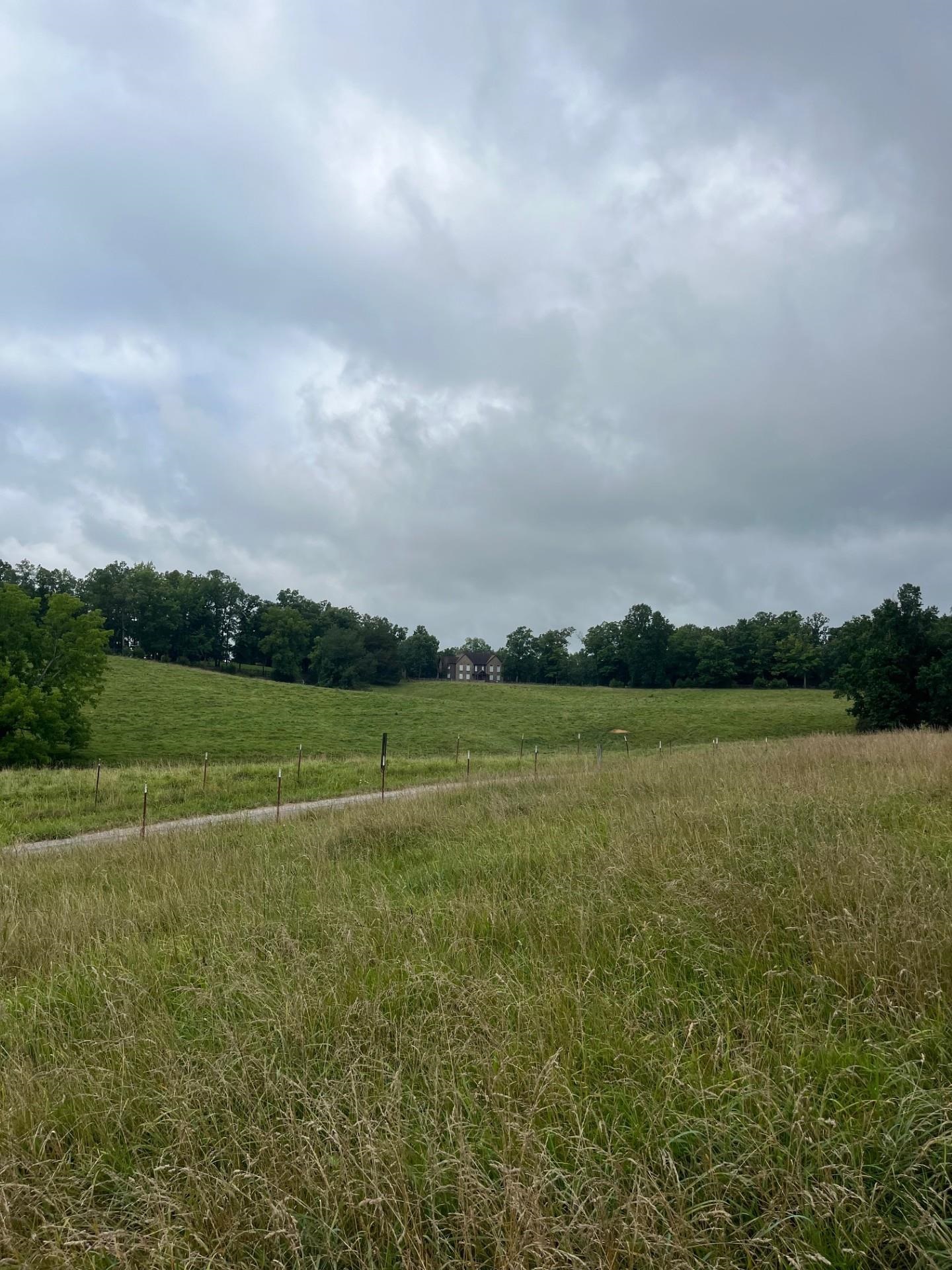 899 East L Smith Road Monroe, TN 38573 - Photo 3 of 18
