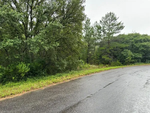 $45,000 | 16 Fisher Ct Way, Ocklawaha, FL 32179