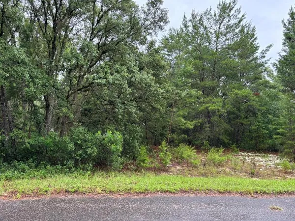 $45,000 | 16 Fisher Ct Way, Ocklawaha, FL 32179
