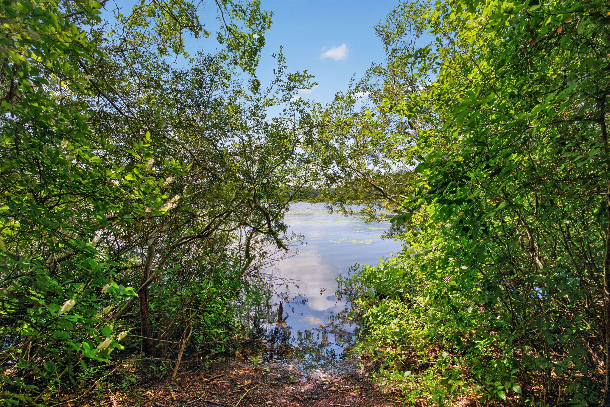 769 River Road Marstons Mills, MA 02648 - Photo 45 of 53 30-9L4A1112