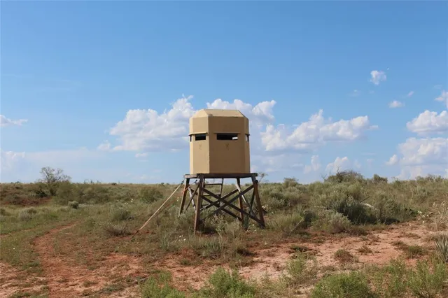 a view of a lake in middle of forest