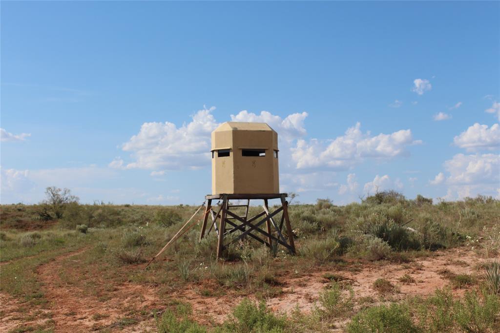 800 Acres Memphis, TX 79245 - Photo 2 of 5 a view of a lake in middle of forest