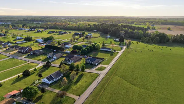 an aerial view of huge green field with lots of green plants in it