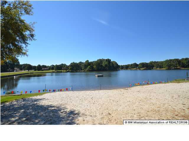 4735 Star Landing Road Nesbit, MS 38651 - Photo 20 of 23 Additional Photo